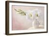 White Flowers in a Vase-egal-Framed Photographic Print