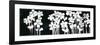 White Flowers on Black I-Norman Wyatt Jr.-Framed Premium Giclee Print