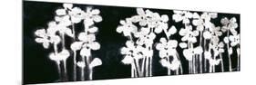 White Flowers on Black I-Norman Wyatt Jr.-Mounted Premium Giclee Print