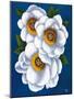 White Flowers on Blue II-Vivien Rhyan-Mounted Art Print