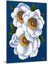 White Flowers on Blue II-Vivien Rhyan-Mounted Art Print