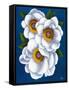 White Flowers on Blue II-Vivien Rhyan-Framed Stretched Canvas