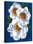 White Flowers on Blue II-Vivien Rhyan-Stretched Canvas