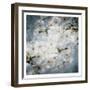 White Flowers With Blue-Milli Villa-Framed Art Print