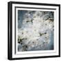 White Flowers With Blue-Milli Villa-Framed Art Print