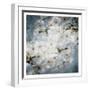 White Flowers With Blue-Milli Villa-Framed Art Print