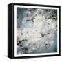 White Flowers With Blue-Milli Villa-Framed Stretched Canvas