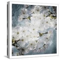 White Flowers With Blue-Milli Villa-Stretched Canvas