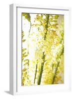 White Flowers-Karyn Millet-Framed Photographic Print
