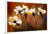 White Flowers-Ursula Abresch-Framed Photographic Print