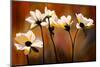 White Flowers-Ursula Abresch-Mounted Photographic Print