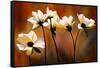 White Flowers-Ursula Abresch-Framed Stretched Canvas