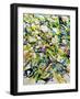 White Flowers-Allan Friedlander-Framed Art Print