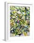 White Flowers-Allan Friedlander-Framed Art Print