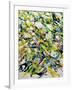 White Flowers-Allan Friedlander-Framed Art Print