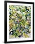 White Flowers-Allan Friedlander-Framed Art Print