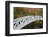 White Footbridge, Autumn, Somesville, Mount Desert Island, Maine, Usa-Michel Hersen-Framed Photographic Print