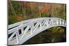 White Footbridge, Autumn, Somesville, Mount Desert Island, Maine, Usa-Michel Hersen-Mounted Photographic Print