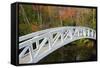 White Footbridge, Autumn, Somesville, Mount Desert Island, Maine, Usa-Michel Hersen-Framed Stretched Canvas