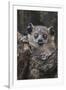White-footed sportive lemur, Madagascar-Art Wolfe-Framed Photographic Print