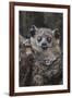 White-footed sportive lemur, Madagascar-Art Wolfe-Framed Photographic Print