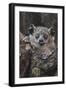 White-footed sportive lemur, Madagascar-Art Wolfe-Framed Photographic Print