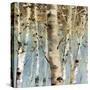 White Forest III-Lisa Audit-Stretched Canvas