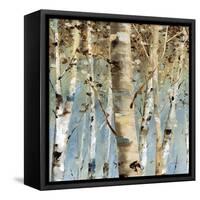 White Forest III-Lisa Audit-Framed Stretched Canvas