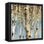 White Forest III-Lisa Audit-Framed Stretched Canvas