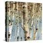 White Forest III-Lisa Audit-Stretched Canvas