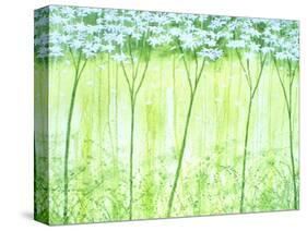 White Forest-Herb Dickinson-Stretched Canvas