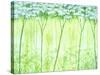 White Forest-Herb Dickinson-Stretched Canvas
