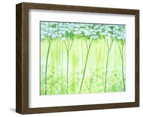 White Forest-Herb Dickinson-Framed Photographic Print