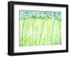 White Forest-Herb Dickinson-Framed Photographic Print