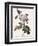 White Four-Seasons Rose-Pierre Joseph Redoute-Framed Giclee Print