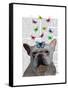 White French Bulldog and Butterflies-Fab Funky-Framed Stretched Canvas