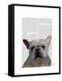 White French Bulldog Plain-Fab Funky-Framed Stretched Canvas