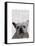 White French Bulldog Plain-Fab Funky-Framed Stretched Canvas