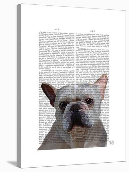 White French Bulldog Plain-Fab Funky-Stretched Canvas