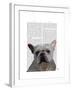 White French Bulldog Plain-Fab Funky-Framed Art Print