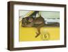 White-Fronted Capuchin Monkey (Cebus Albifrons) Wild Monkey Forming Part of a Troop Living-null-Framed Photographic Print