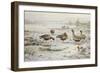 White Fronted Geese-Carl Donner-Framed Giclee Print