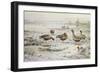 White Fronted Geese-Carl Donner-Framed Giclee Print