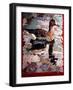 White Fronted Goose, 1978-Peter Wilson-Framed Giclee Print