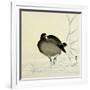 White-Fronted Goose-Koson Ohara-Framed Giclee Print