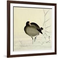 White-Fronted Goose-Koson Ohara-Framed Giclee Print