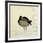 White-Fronted Goose-Koson Ohara-Framed Giclee Print