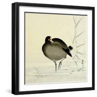 White-Fronted Goose-Koson Ohara-Framed Giclee Print