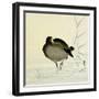 White-Fronted Goose-Koson Ohara-Framed Giclee Print