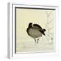 White-Fronted Goose-Koson Ohara-Framed Giclee Print